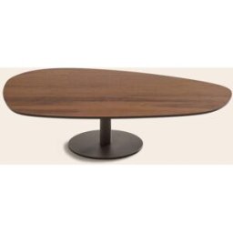 MADURA Table Basse Ismeria Noyer et bronze - MARRON 120x80xH30 cm