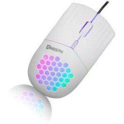 INF Souris Optique SXS-838 TYPE-C : Ergonomie, RGB et Performance pour PC, Ordinateur Portable et Tablette Blanc