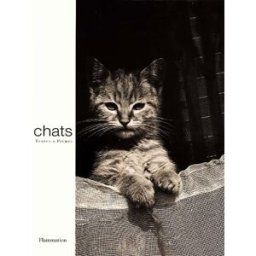 Chats collectif Flammarion