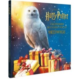 Calendrier de l'Avent pop-up Hedwige : Harry Potter reinhart pop up studio Hachette Heroes