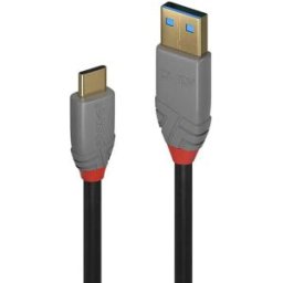 Lindy Câble Usb-a Vers Usb-c 5a 1 M Black One Size unisex