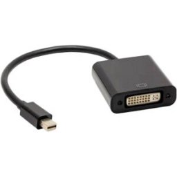 Akyga AK-AD-37 Mini-Display Adaptateur [1x DVI femelle 24+5 pôles - 1x DisplayPort mâle] 15 cm
