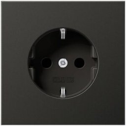 Jung simple Insert Prise 2P+T noir AL1520NAN 1 pc(s)