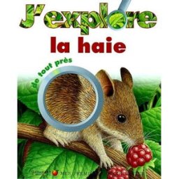 J'explore la haie de tout près Caroline Allaire, Pierre de Hugo Gallimard-Jeunesse