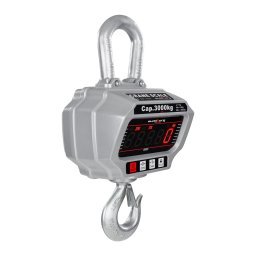 Balance suspendue - 3 000 kg/1 kg - LED - avec télécommande 50 m