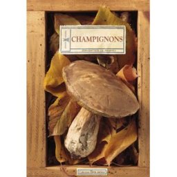 Champignons Jean-Baptiste de Panafieu Plume de carotte