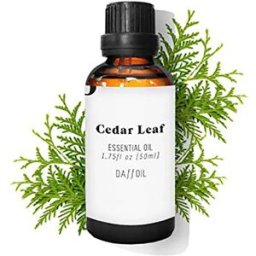 Daffoil Huile Essentielle Cedar Leaf 50ml One Size unisex