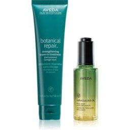 Aveda Styling Set ensemble