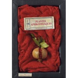 Plantes aphrodisiaques Bernard Bertrand Plume de carotte