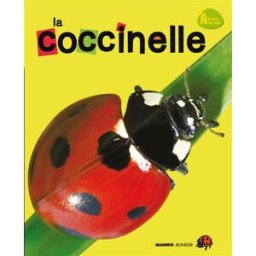 La coccinelle Dreaming Green, Jeong-Sun Yi Mango-Jeunesse