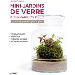 Mini-jardins de verre & terrariums déco : 20 réalisations pas à pas Gabriel Primetens Ulmer