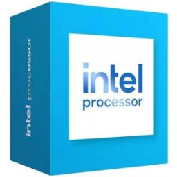 Intel Cpu Pentium 300 Dual Core Lga 1700 Black One Size unisex