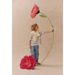 MONOPRIX Pantalon droit élastiqué uni en coton BIO GOTS 3 ans