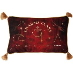 Widdop & Co. Coussin Charms Harry Potter 43 Cm Multicolor One Size unisex