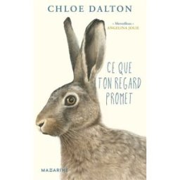 Ce que ton regard promet Chloe Dalton Fayard