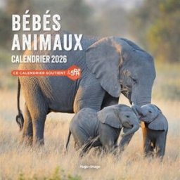 Calendrier mural Bébés Animaux 2026 Collectif Hugo Image
