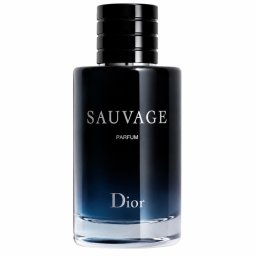 Parfum Homme Sauvage 100 ml