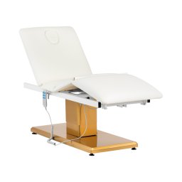 Fauteuil esthétique - 300 W - 190 x 65 x 60 - 73 cm - 200 kg - Blanc / Doré