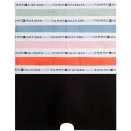 Tommy Hilfiger Boxers Um0um03907 Trunk 5 Unités Bonita Pink / Black / Minty Grey / Burnt Vermilion / Breeze Blue L Homme