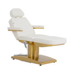 Table de massage électrique - 3 moteurs - 300 W - 195 x 60 x 62 - 82 cm - 200 kg - blanc/doré
