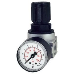 Riegler Régulateur de pression continu »multifix-mini«, G 1/4, 0,2-6 bar (RB 06-6)