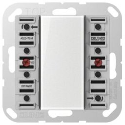 Jung Module capteur tactile 2x AC/DC24V 2-p. 4p. A 5224 TSM (A5224TSM)