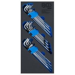 BGS technic BGS Insert pour servante d’atelier 1/3 : jeu de clés à œil extra long, profil T (pour TX), profil T (pour TX) avec trou, clé Allen, 27 pièces ; BGS te (74259)