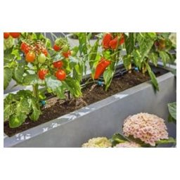 Gardena Kit d'arrosage goutte à goutte Terrasse (30 plantes) Contenu : 1 pièce (13400-20)