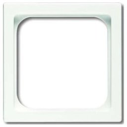 Busch-Jaeger Plaque centrale stws pour insert TAE 1746/10-884 (2CKA001710A3875)
