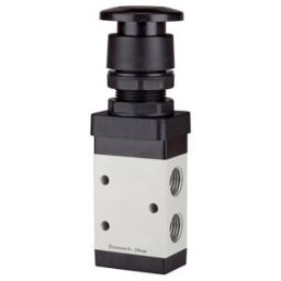 RIEGLER Distributeur 3/2 voies manuel M3 bouton champignon NC monostable G 1/8 noir (5155000)