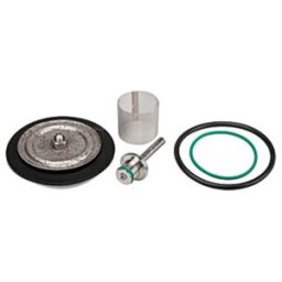Riegler Kit de pièces d'usure avec membrane PTFE, max. 50 bar, G 1/4 (VTSDR1450)