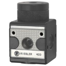 Riegler Régulateur de pression pneumatique télécommandé »multifix«, BG 1, G 1/4 (RI 11)