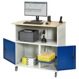 Table d'ordinateur Rau sans boîtier d'écran mobile LxPxH 1100x800x1100mm (07-1023F.11)