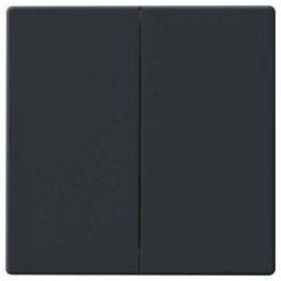 Busch-Jaeger Bascule anthracite pour télécommande 6736 FoH-81 (2CKA006730A0133)
