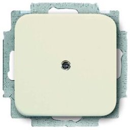 Busch-Jaeger Rosace aveugle blanche avec bague de support 2538-212 (2CKA001715A0218)