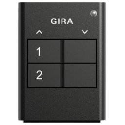 Gira Télécommande radio 2 boutons anthracite 535210 (535210)