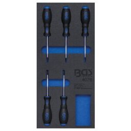 Insert de servante d'atelier 1/3 : Tournevis profil T (pour TX) 5 pièces BGS ; BGS technic (4076)