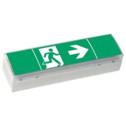 Ceag Lampe LED batterie unique avec testeur SV EURO4L LED 3h SET ; Eaton (40071354776)
