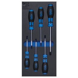 Insert de servante d'atelier 1/3 : Tournevis profil T (pour TX) 6 pièces BGS ; BGS technic (4078)