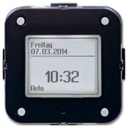 Busch-Jaeger Busch-Timer Élément de commande Standard 6456-101 (2CKA006410A0398)