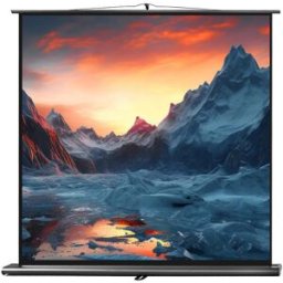 celexon Écran de projection Ultramobil Professional 160 x 160 cm - Écrans