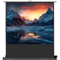 celexon Écran de Projection Ultramobil Plus Professional 120 x 90 cm - Écrans