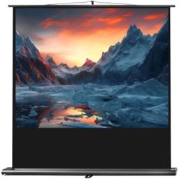 celexon Écran de Projection Ultramobil Professional 200 x 150 cm - Écrans