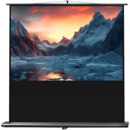 celexon Écran de Projection Ultramobil Professional 120 x 75 cm - Écrans