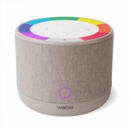 Enceinte Bluetooth - Wobie Box - Gris