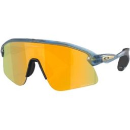 Oakley - Lunettes de soleil polarisées - Stunt Devil S Matte Trans Abyss/Prizm 24K pour Homme - Gris