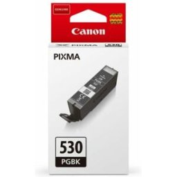 Canon PGI-530PGBK - Noir pigmentaire - Cartouche d'encre Noir pigmentaire