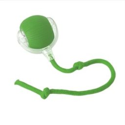 INF P02 Nouveau Jouet Électrique Interactif pour Chat, Balle Roulante Rechargeable avec Corde, Silicone/Nylon/PC, Port Type-C