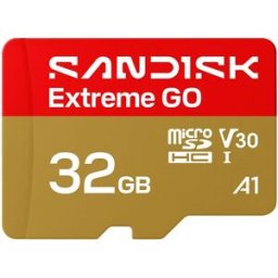 SanDisk Carte Mémoire Extreme Go 32gb Black / Gold One Size unisex