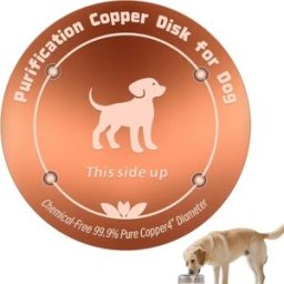 INF Disque purificateur en cuivre pour abreuvoirs d'oiseaux et gamelles pour animaux - Cuivre pur 99,99% 0.6mm, Or rose, Eau